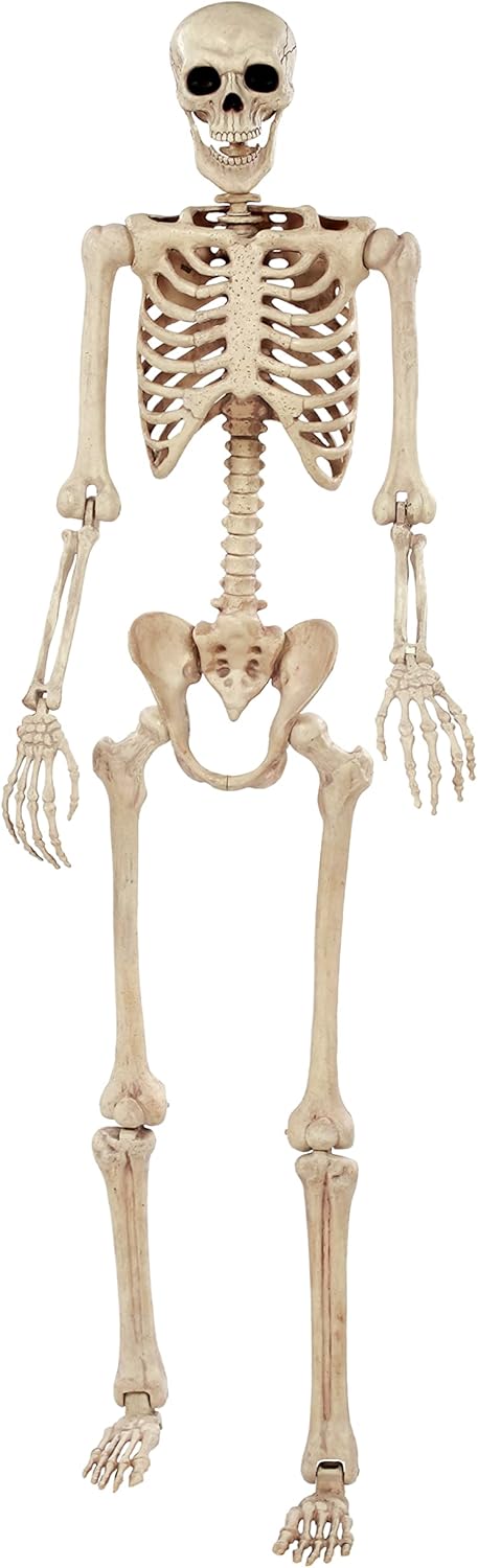 Crazy Bonez Pose-N-Stay Halloween Skeleton, 6 FT – Life-Size, Realistic, Fully Poseable Indoor & Outdoor Decoration, Durable Weather-Resistant Spooky Prop for Yard, Porch, Haunted House
